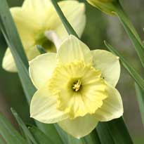 Хочется весны...