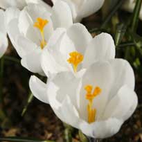 Хочется весны...