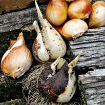 Хочется весны...