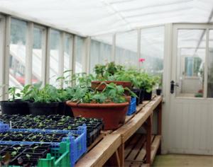 Все, что вы хотели знать о грунтах, удобрениях и теплицах - в мартовском "Садовнике" 