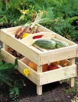 Ящик для хранения урожая 