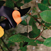 Укрываем розы. Шаг 1