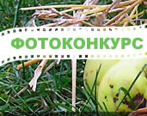 Суперсадовник.ru и Maxwell объявляют фотоконкурс "Что выросло, то выросло" 