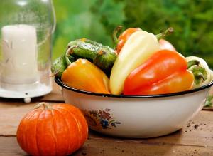 Мини-процессоры