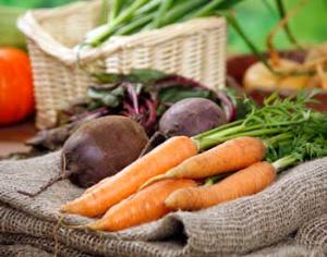 Россияне вынуждены питаться домашними заготовками