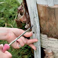 Стулья из пней. Шаг 4 Стулья из пней. Шаг 4