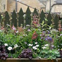 Выбери свой цветник