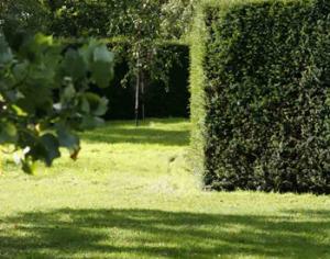 Садоводство идет в Интернет