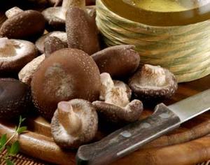 Грибы в Подмосковье можно собирать