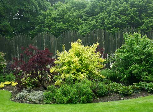 Садовая композиция в желто-зеленой гамме