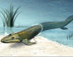 Установлено время возникновения позвоночных