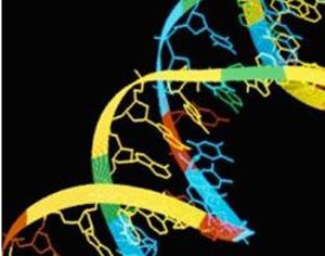 Создан наноиндикатор кислотности