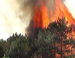 Глобальное потепление снизит количество пожаров