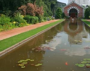 День защиты растений отметят играючи