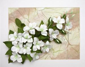 Тимирязевский музей научит квилингу