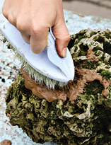 Втирание земельной смеси