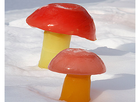 Фигурки в форме грибов из цветного льда