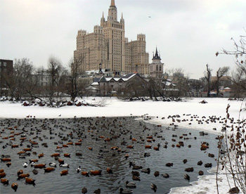 Московский зоопарк зимой