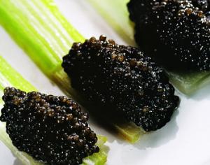 Антиподарки от  WWF 