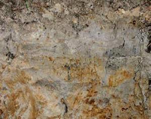 Создан терхмерный сканер земли