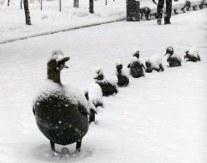 Лужков призовет синоптиков к ответу