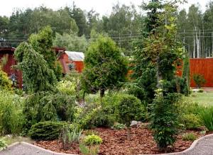 Букетные посадки: из наблюдений ладшафтного дизайнера