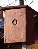 Готовый скворечник