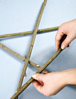 Нарезка веток