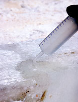 Ледяная собака. Шаг 5