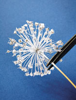 Обрезка растения