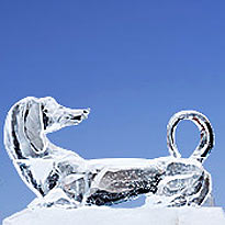 Собака из льда