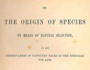 "Происхождение видов" Дарвина, найденное в туалете, предполагается продать за 100 тысяч долларов