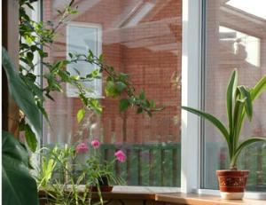 Оконные стекла могут заменить на дисплеи