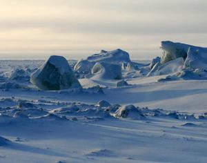 В Арктике выросла площадь льдов