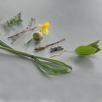 бутоньерка цветы