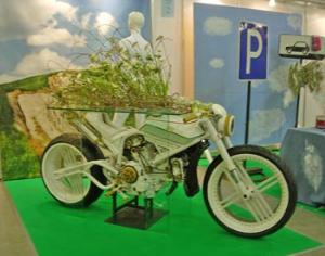 Ландшафтная архитектура. Флористика. Весна 2010