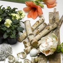 Анютины глазки, гиппеаструмы, береста, поленца, бечевка