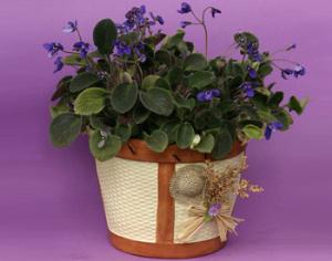 "Весна-2010" на ВВЦ