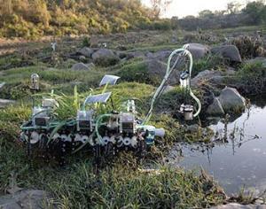 Мексиканский дизайнер придумал кочующую грядку