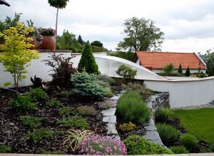 Композиции из хвойных: среди камней, на склоне, миксбордер