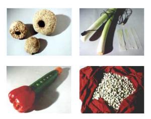 Венский Овощный оркестр сыграет на российских овощах