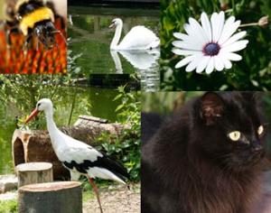 Каталог жизни пополнился