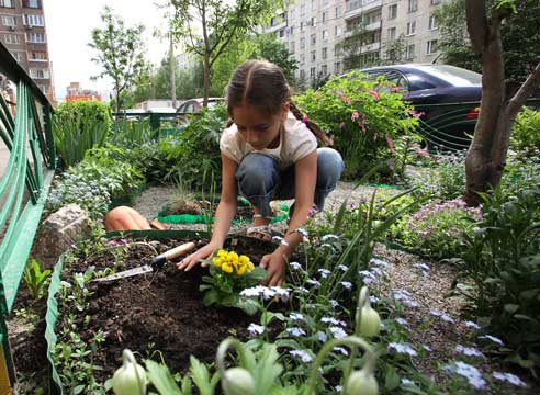 Как сделать клумбу у подъезда своими руками