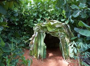 Трудовой экотуризм в Сьерра-Леоне 