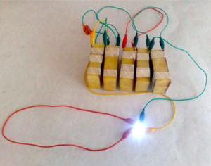 Изобретены картофельные электробатарейки