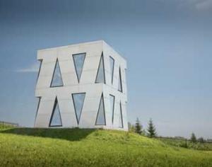 Чичерина построила живой дом