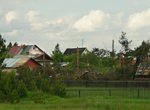 последствия урагана поваленное дерево