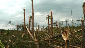 Синоптики обещают России ураганы