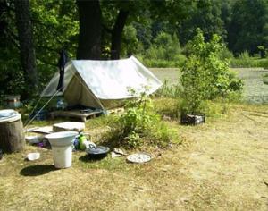 Московские пенсионеры живут на острове