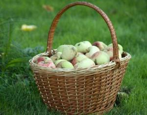 Карта бесхозной еды появилась в Германии